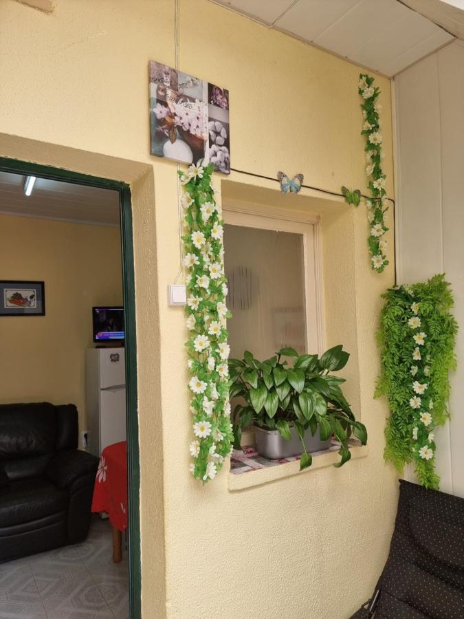 Cozy Pilar House 19 * Funchal (Madeira)